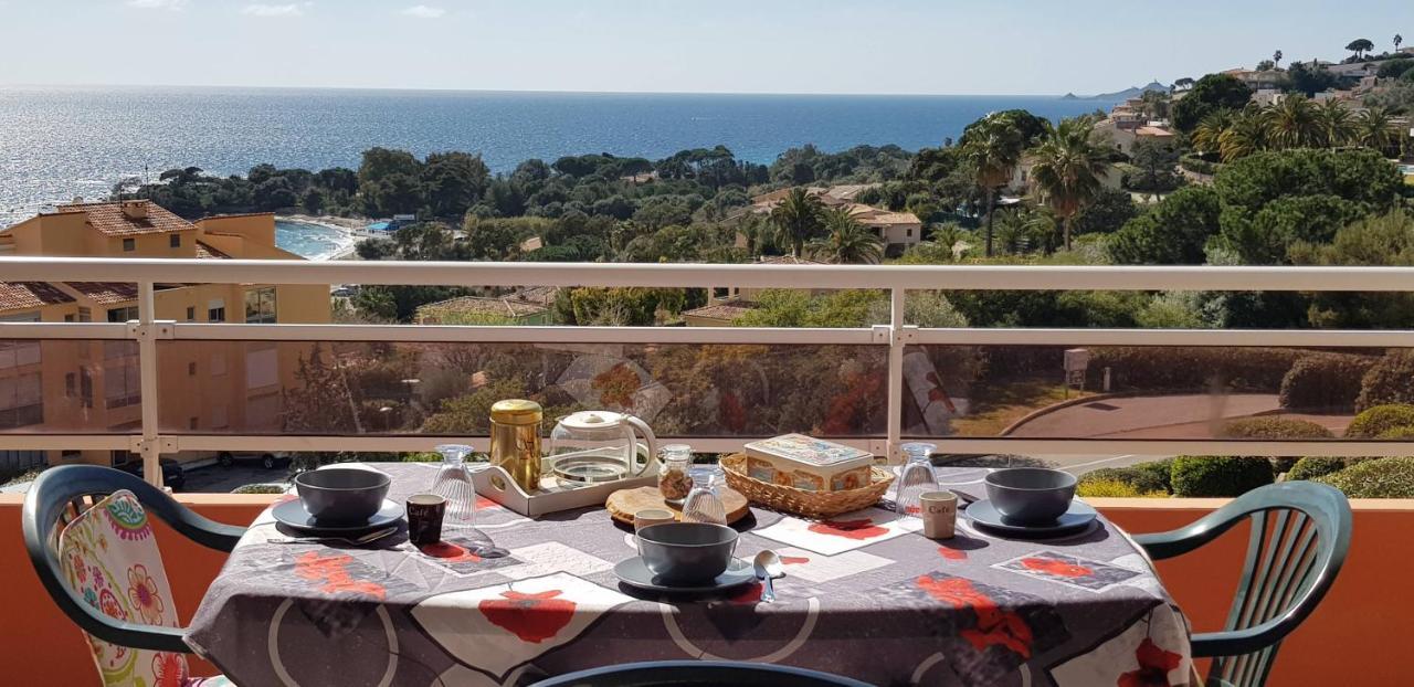 T1 Vue Mer Bord De Mer Ajaccio Ajaccio  Ngoại thất bức ảnh