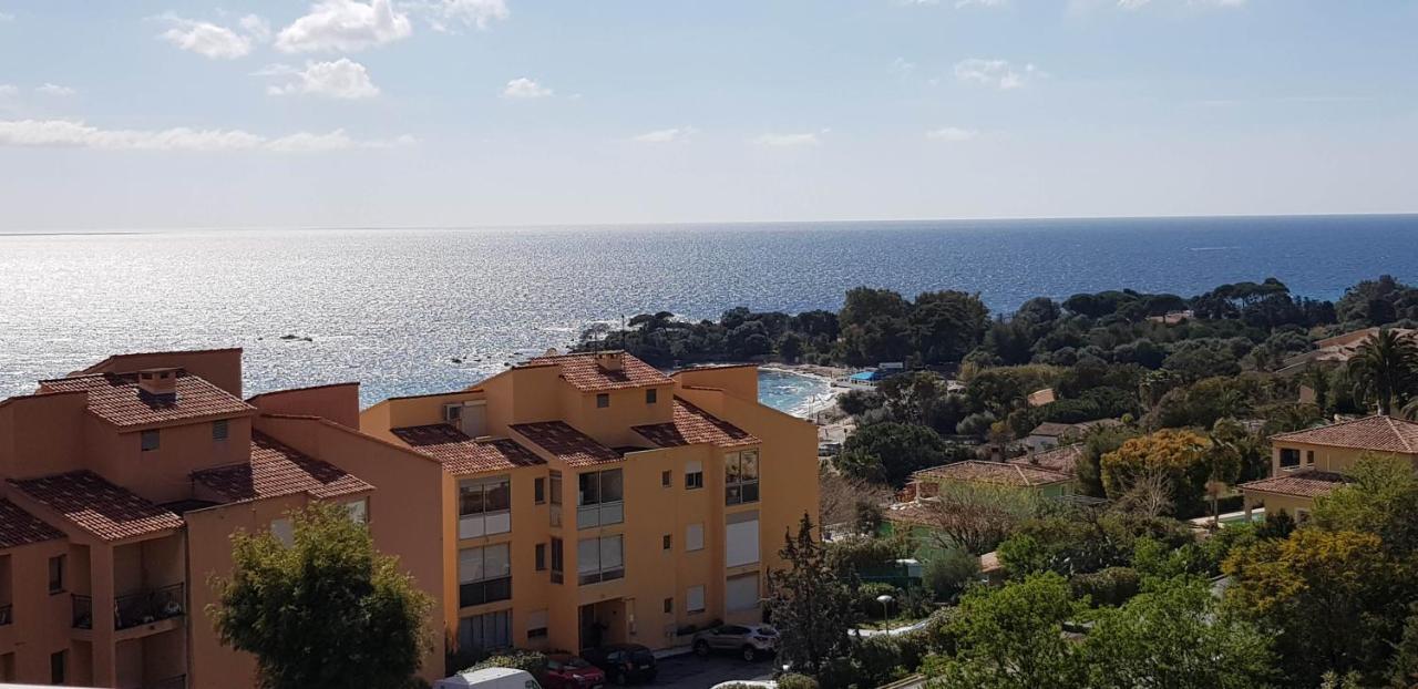 T1 Vue Mer Bord De Mer Ajaccio Ajaccio  Ngoại thất bức ảnh