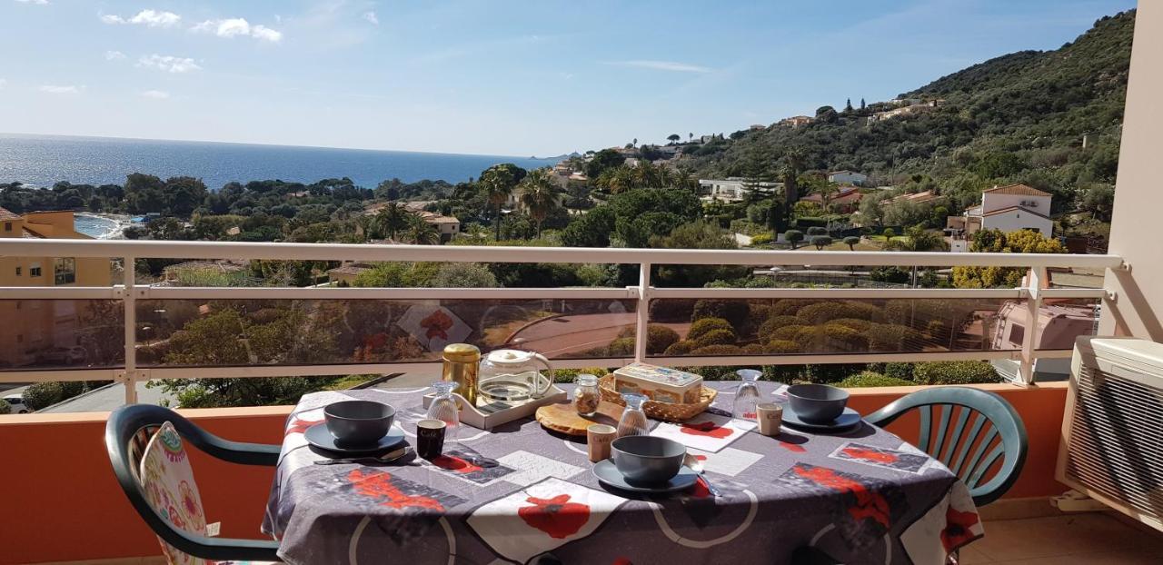 T1 Vue Mer Bord De Mer Ajaccio Ajaccio  Ngoại thất bức ảnh