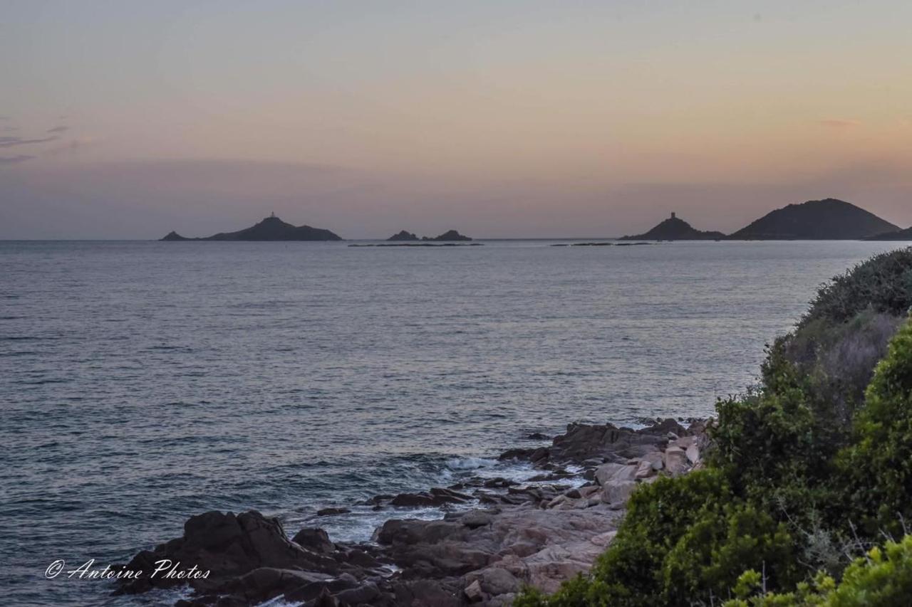 T1 Vue Mer Bord De Mer Ajaccio Ajaccio  Ngoại thất bức ảnh